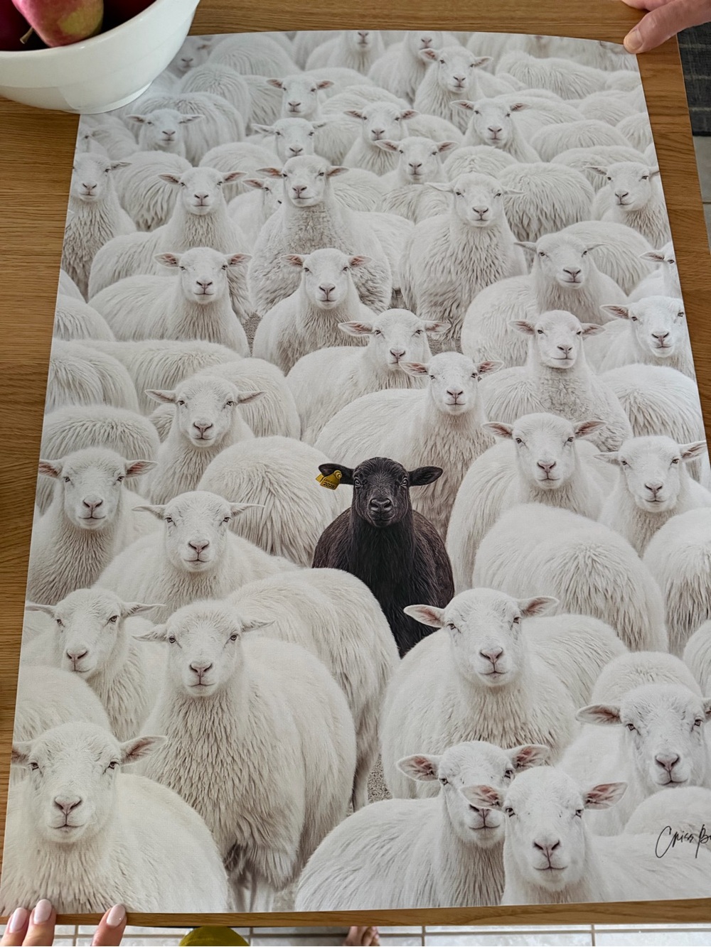 Bellini Contrast Flock Print - White & Black